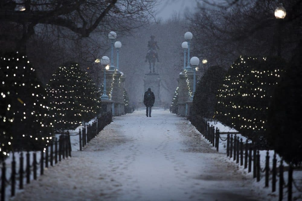 A man walks down the path across the bridge over the pond in the Boston Public Garden on Thursday, Jan. 4. (Jesse Costa/WBUR)