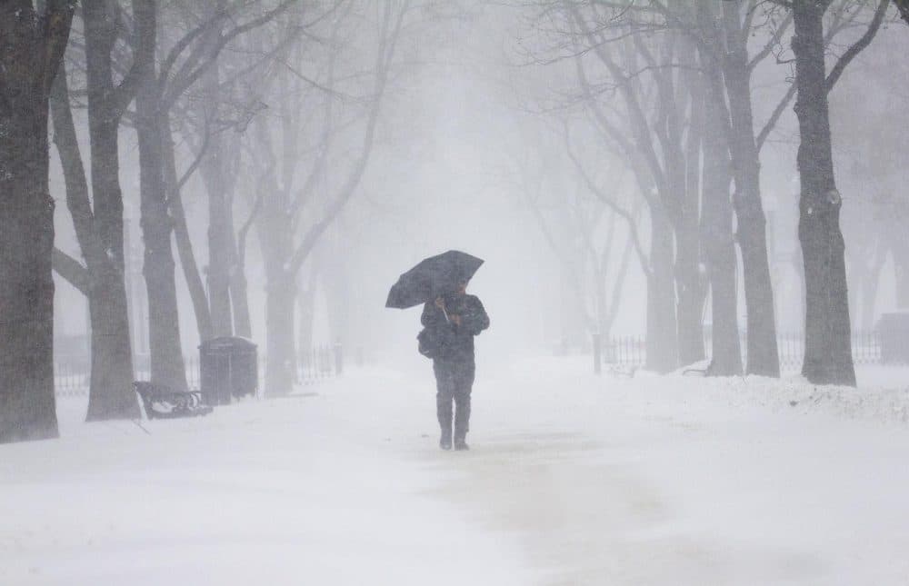 Graphic designer Pradit Sakkara takes an afternoon walk through the snowstorm along Commonwealth Avenue (Robin Lubbock/WBUR)