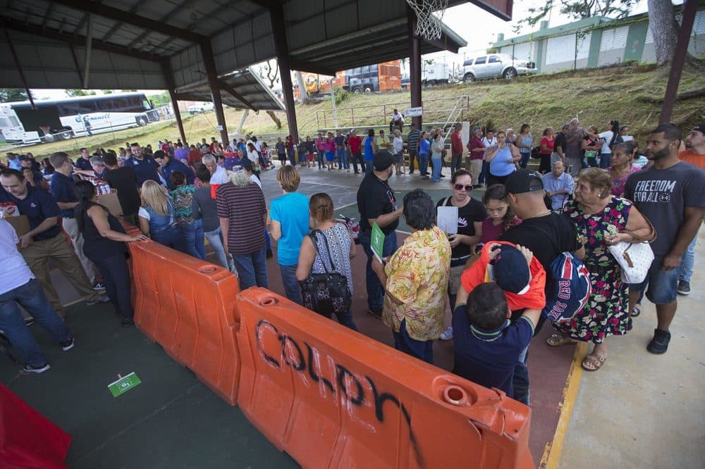 A line of people waiting for supplies wraps around a basketball court at La Mesa Sports Complex in Caguas. (Jesse Costa/WBUR)