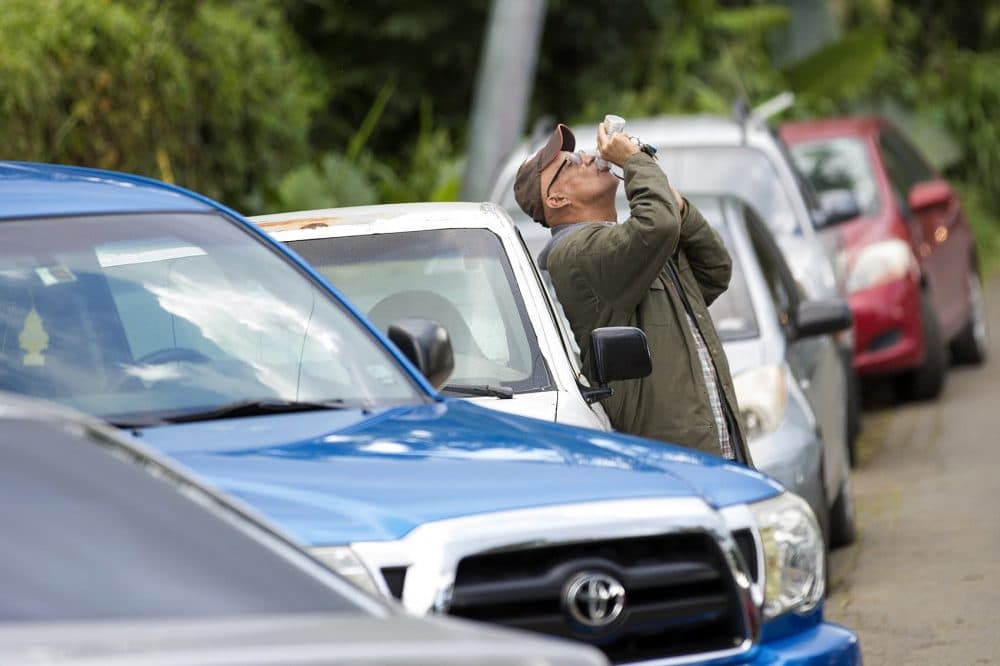 A man leans against his car and tips his head back to finish a protein drink he just received at the relief event. (Jesse Costa/WBUR)