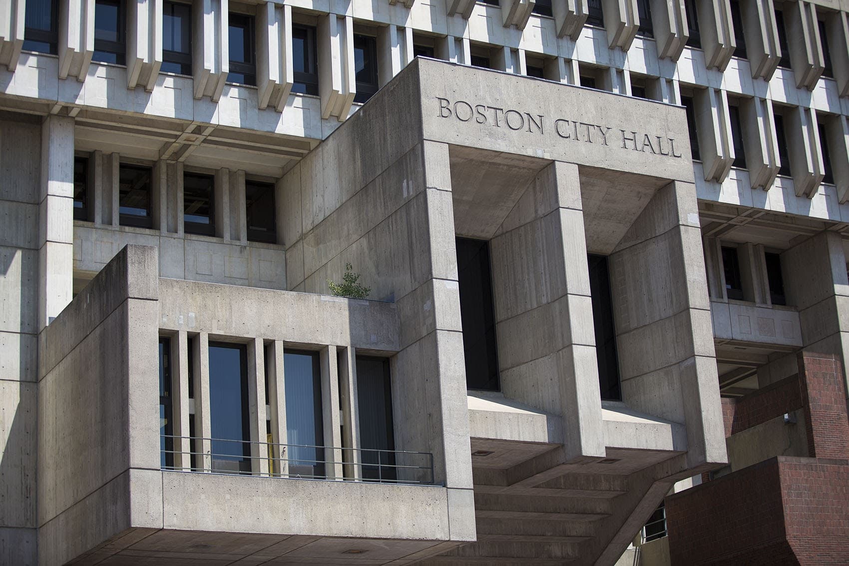 Boston City Hall. (Jesse Costa/WBUR)