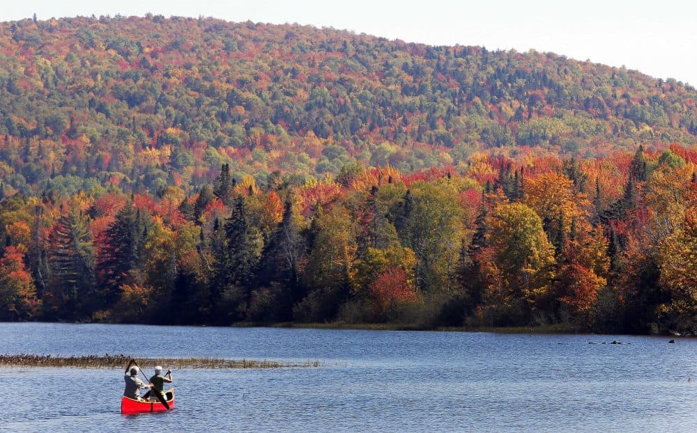 The Androscoggin River and fall colors north of the White Mountains in Dummer, N.H. Critics of proposals to import relatively clean hydropower from Quebec into the United States worry that transmission lines will despoil New Hampshire's natural beauty with power lines. (Jim Cole/AP/File)