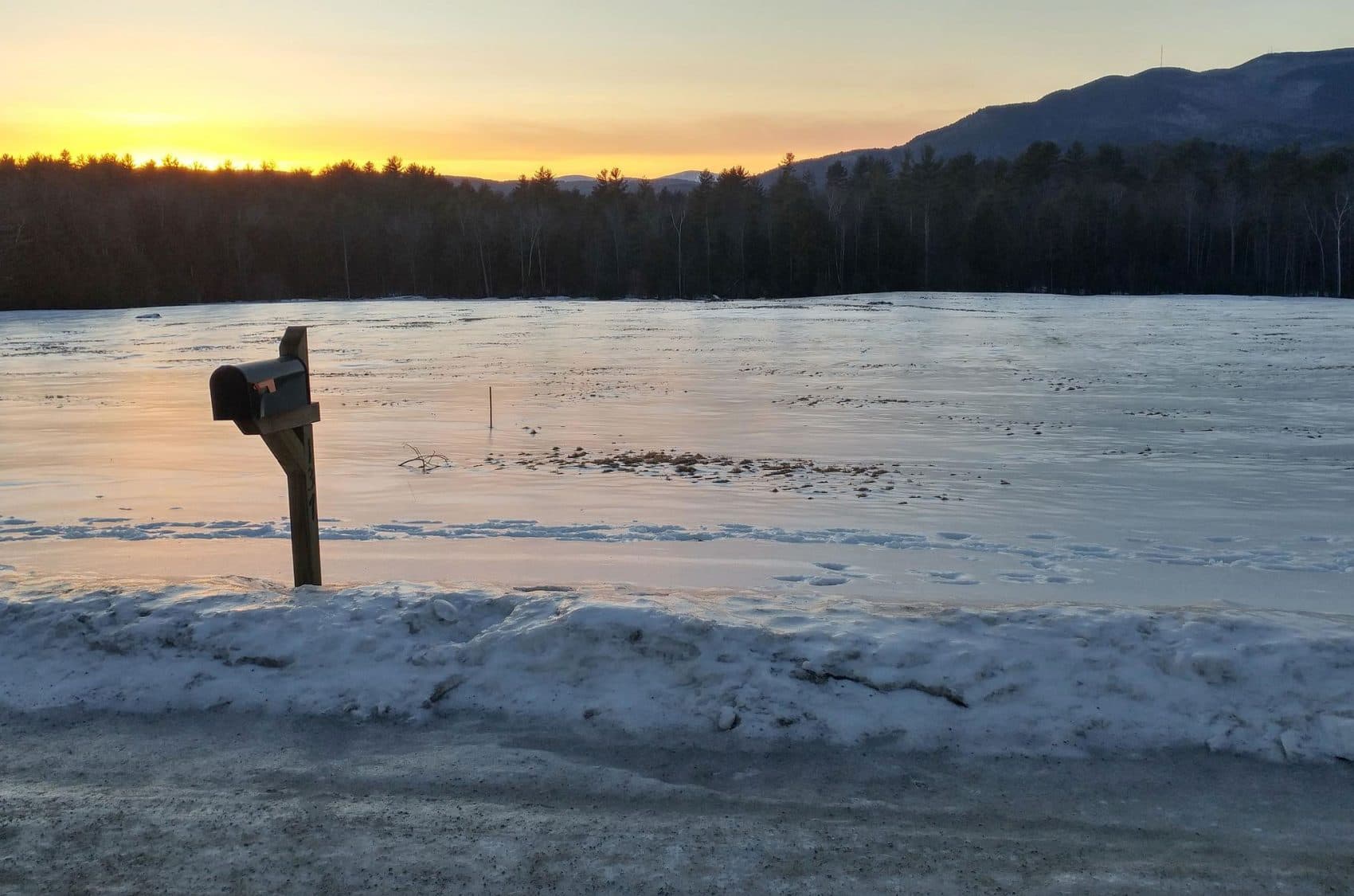 Developers are still pursuing a utility-scale solar array on this parcel in Claremont, New Hampshire, despite being shut out of Massachusetts' renewable energy procurement efforts. (Annie Ropeik/NHPR)