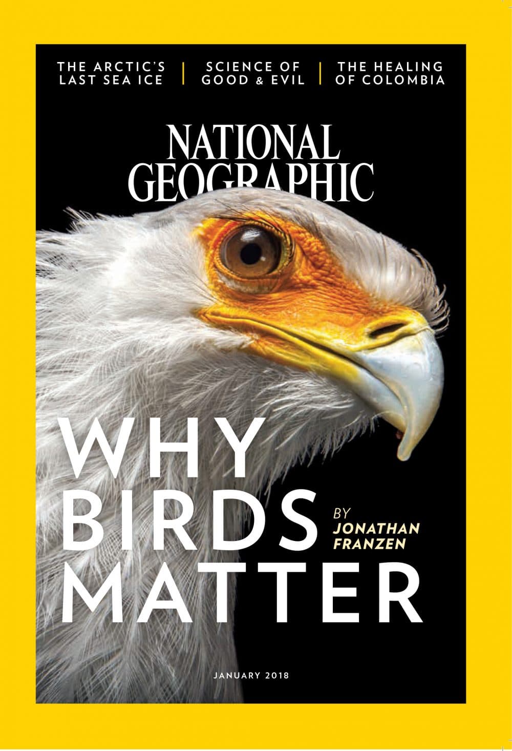 The cover of National Geographic magazine.