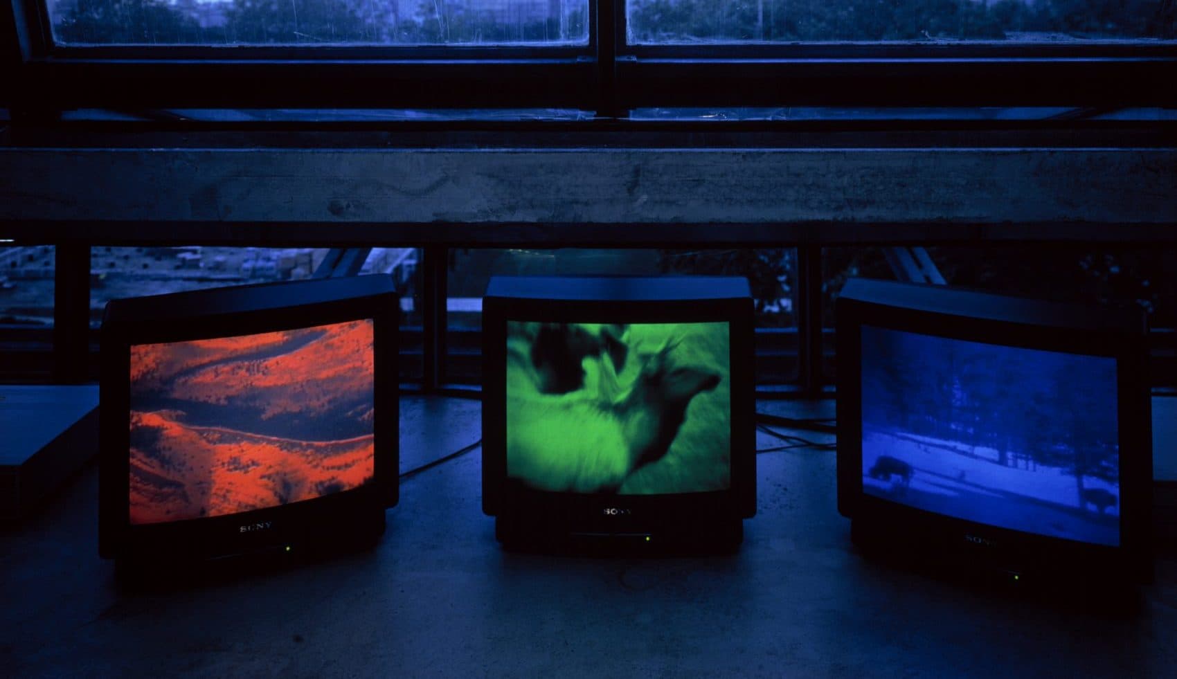 Diana Thater's &quot;Snake River,&quot; 1994. Three video monitors, three media players, digital files, 30 minutes each. (Courtesy the artist and David Zwirner, New York/London)