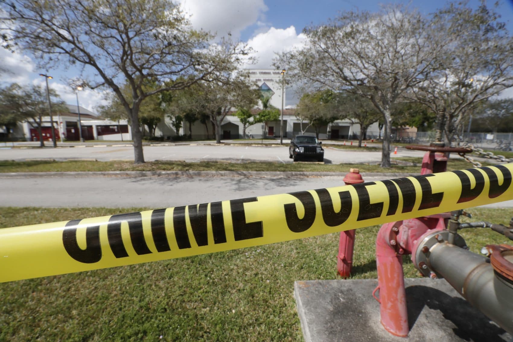 'Properly Trained Individuals' With Guns Can Stop School Shootings, Florida State Senator Says