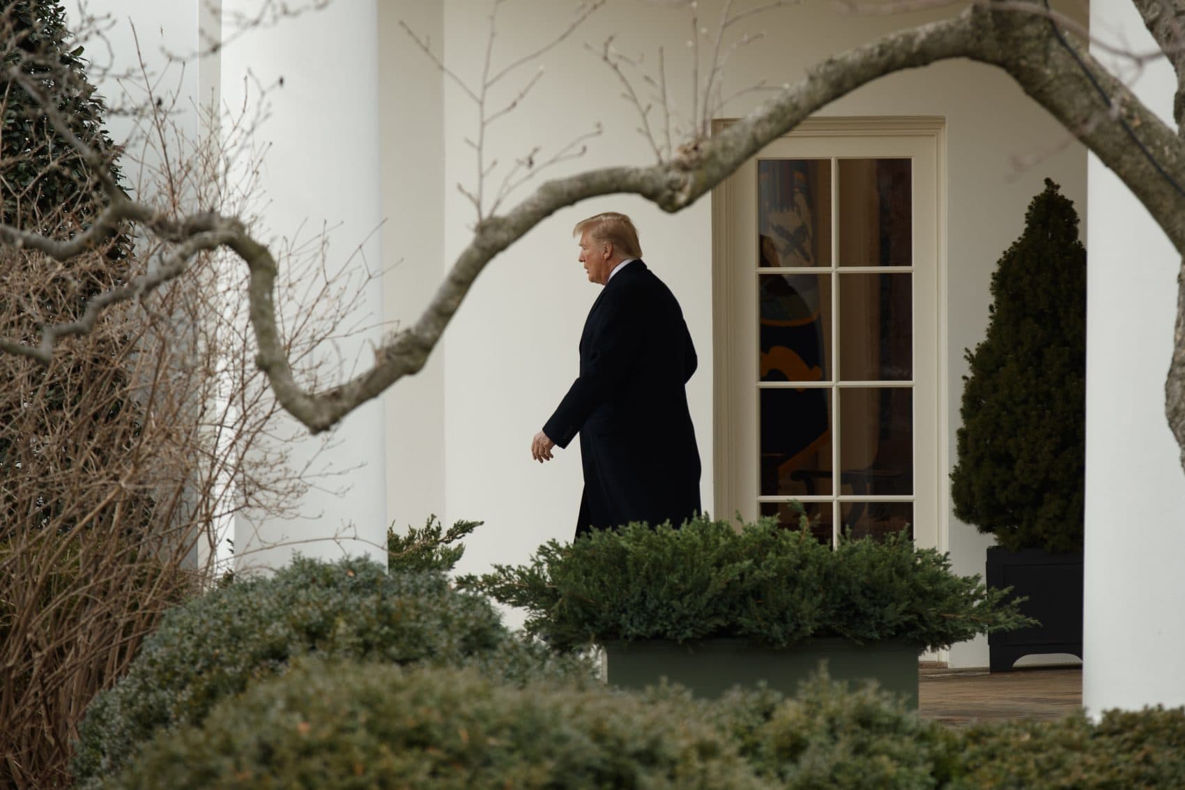 Trump Gets A Reset. For Now