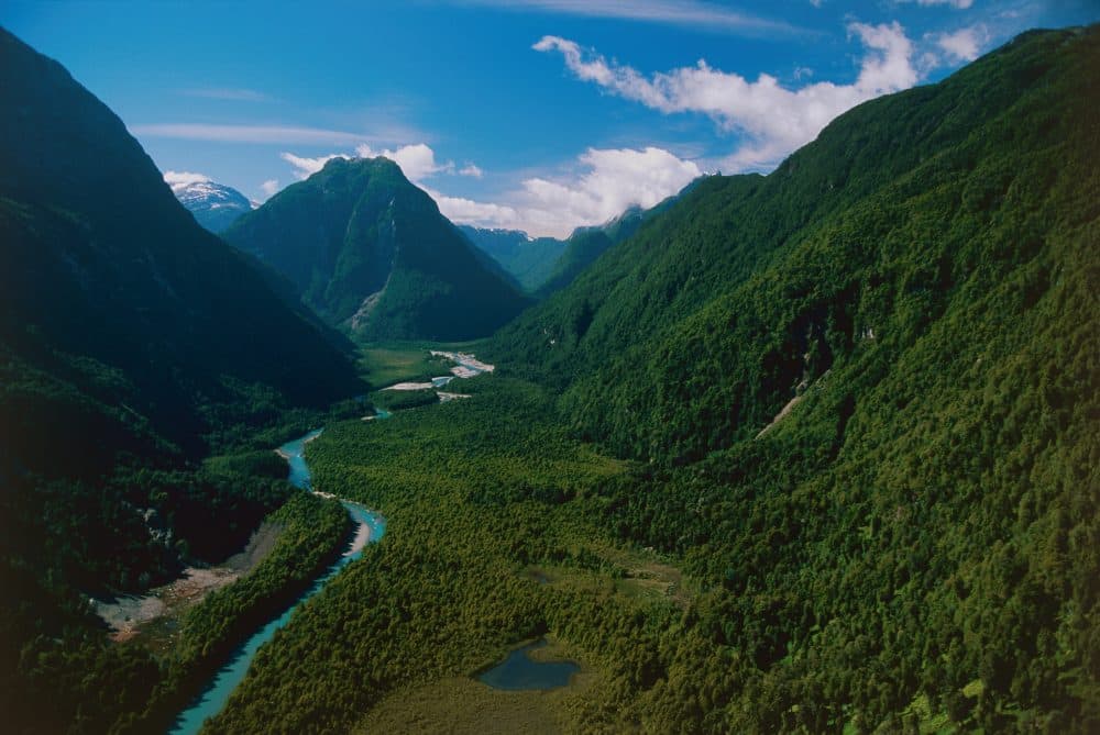 A view of Pumalín national park in Chile. (Courtesy Tompkins Conservation)