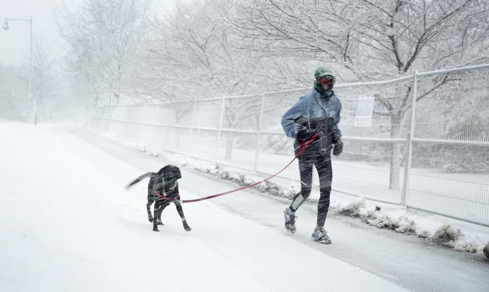 A runner and dog struggle against the wind and snow as they run by Fresh Pond in Cambridge Tuesday. (Robin Lubbock/WBUR)