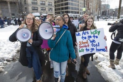 'They're Standing Up And Saying Something': Students March To State House To Call For Stricter Gun Laws