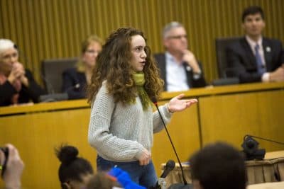 At 'Intersections' From Roxbury To Andover, Students Stand Together For Gun Control