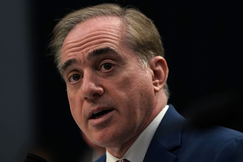 U.S. Secretary of Veterans Affairs David Shulkin testifies during a hearing on March 15, 2018 on Capitol Hill in Washington, D.C. (Alex Wong/Getty Images)