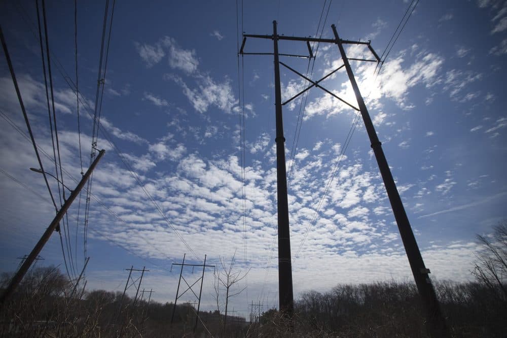 Powerlines in Medway. (Jesse Costa/WBUR)