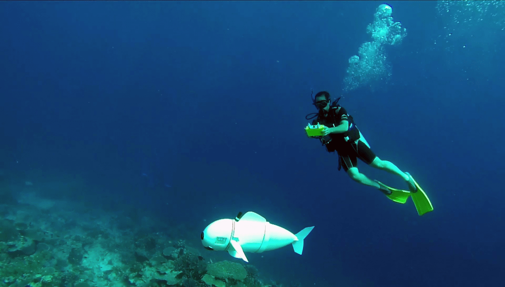 SoFi being controlled by a diver. (Courtesy MIT CSAIL)