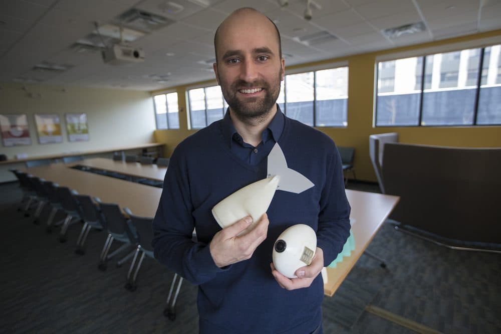 Robert Katzschmann of Computer Science and Artificial Intelligence Laboratory (CSAIL) at MIT, holds components of a realistically swimming soft robotic fish. (Jesse Costa/WBUR)