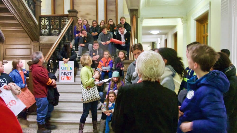 State Sen. Pat Jehlen, foreground, addresses students rallying for gun control. (Max Larkin/WBUR)