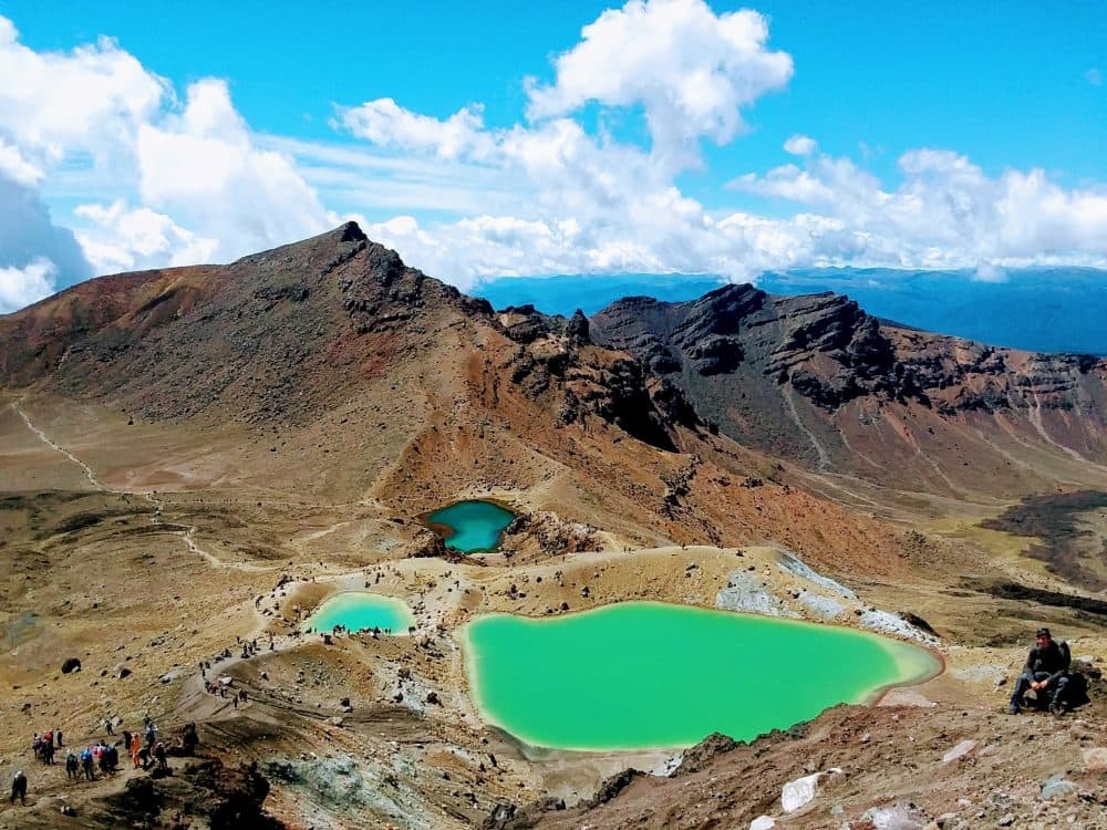 Tongariro National Park, pictured on the day the author visited. (Courtesy)