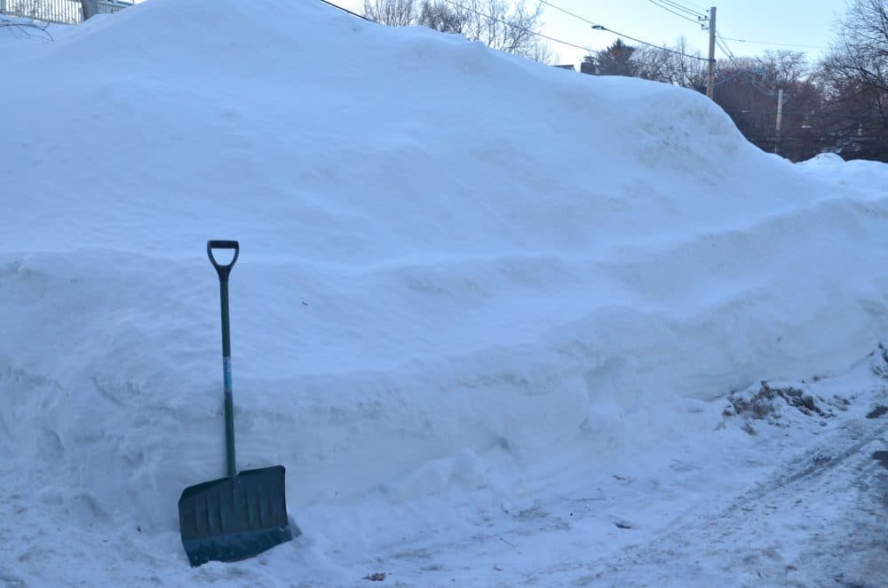 Shovel vs. snow. (Sharon Brody)