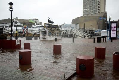 How Cities Are Leading The Way On Climate Change