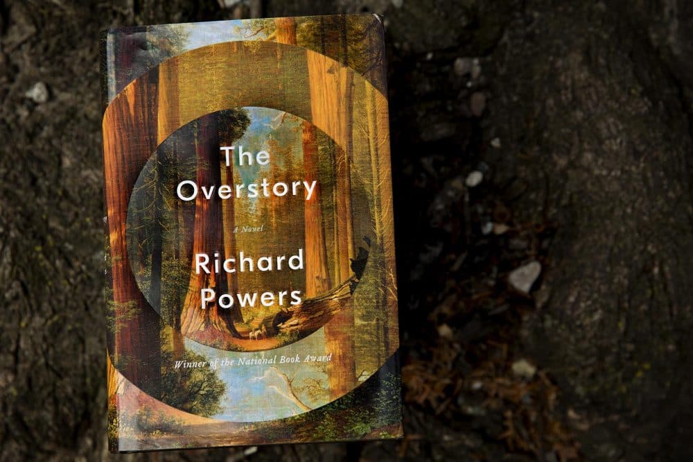 The Overstory, by Richard Powers. (Robin Lubbock/WBUR)