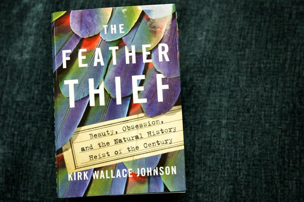 "The Feather Thief," by Kirk Wallace Johnson. (Robin Lubbock/WBUR)