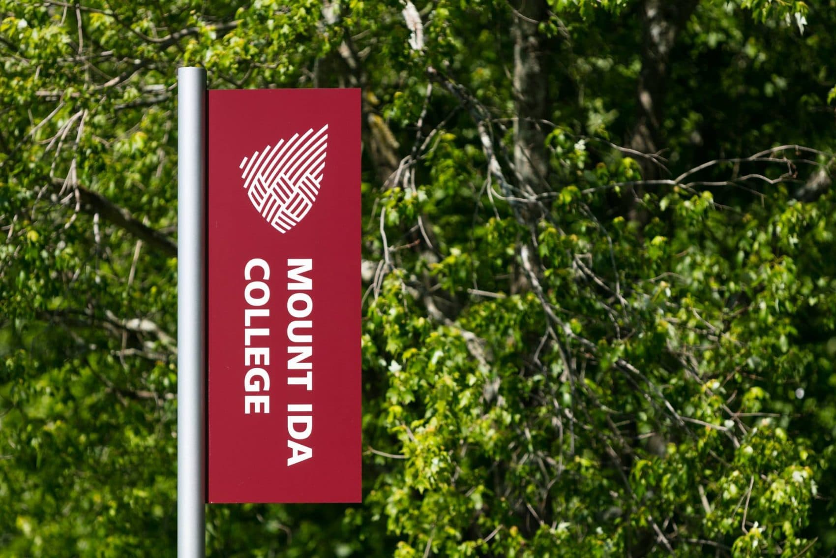 Lost In the News Over Mount Ida's Fate? The Faculty And Staff