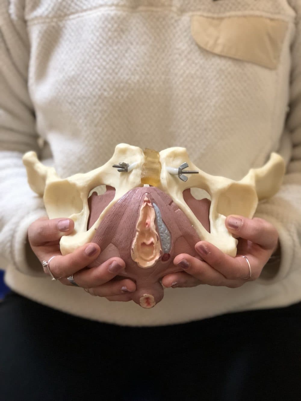 Donna Chiao, DPT, an orthopedic and pelvic health physical therapist, holds a model pelvis. (Courtesy of the author)
