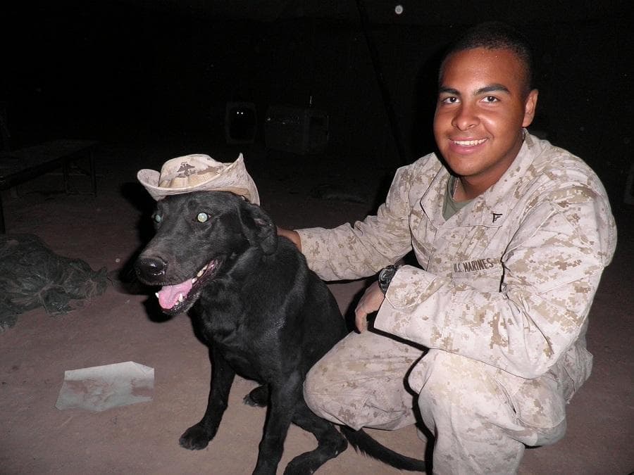 Taker, who served as an explosives detection dog with the Marine Corps. (Courtesy American Humane)