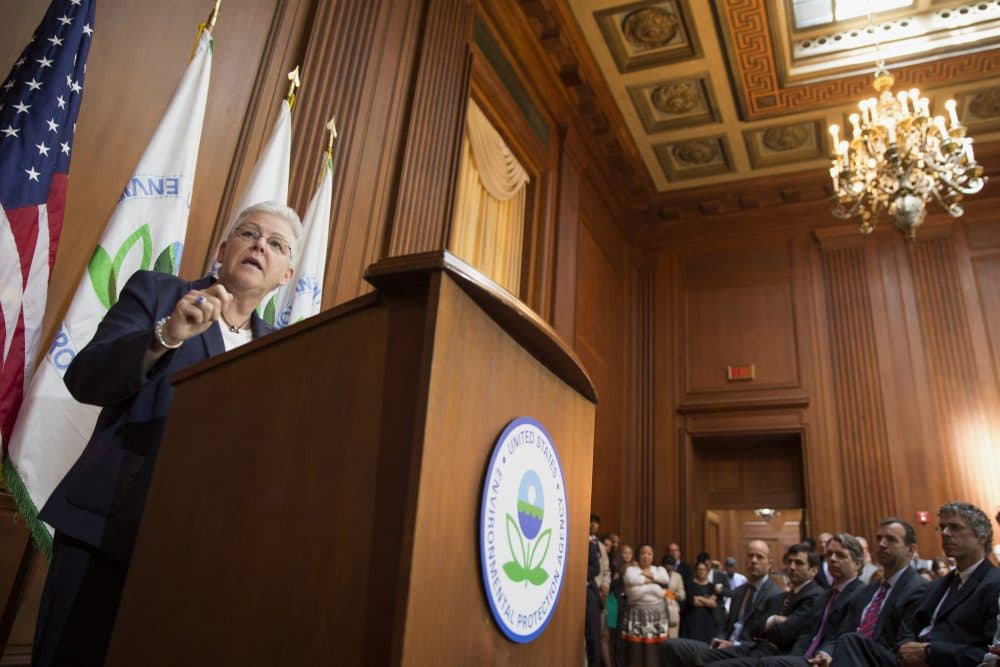 Former Environmental Protection Agency Administrator Gina McCarthy is pictured on June 2, 2014, at EPA headquarters in Washington. (Evan Vucci/AP)