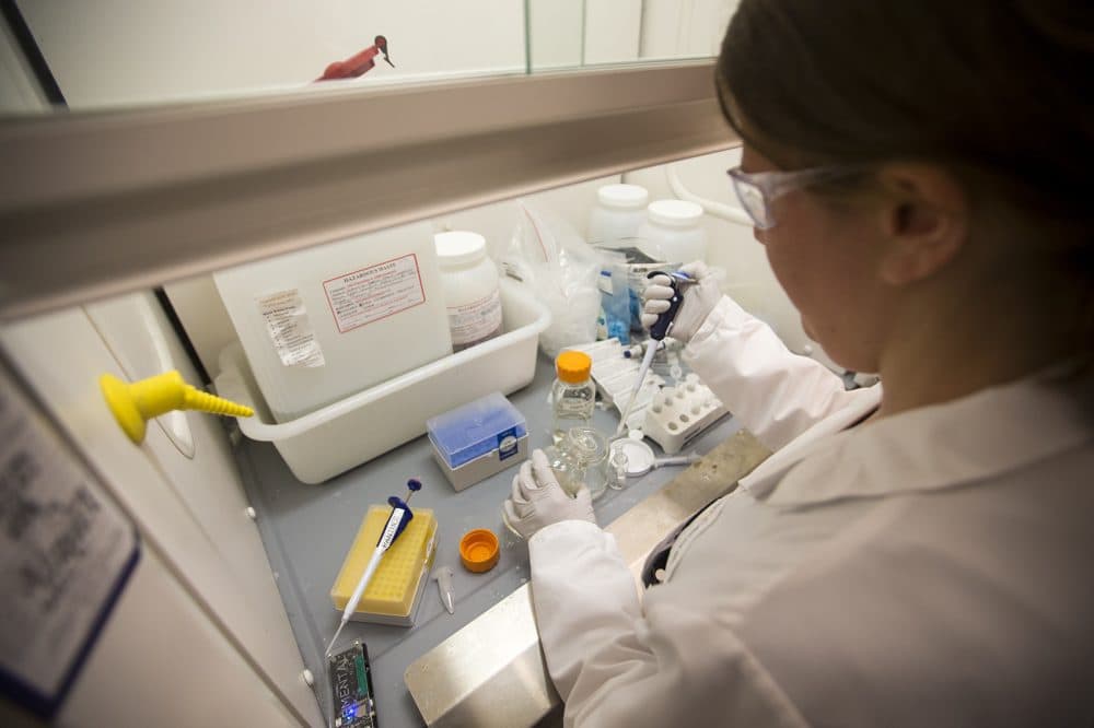 At Lab Central, scientist Meg Lashof-Sullivan of PanTher Therapeutics creates samples of a component for high performance liquid chromatography. (Jesse Costa/WBUR)