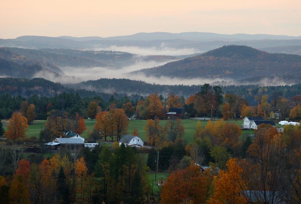 Vermont recently passed legislation for a program that would offer people up to $10,000 to move there and work remotely. (Stan Honda/AFP/Getty Images)