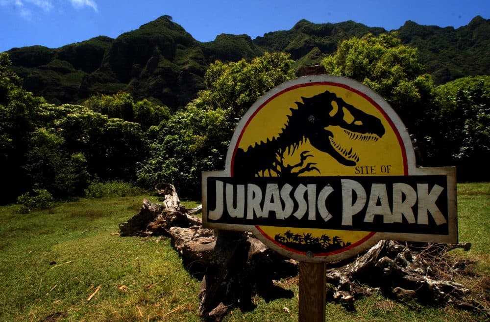 The site of famous dinosaur scenes at Kualoa Ranch in the valley of Kaaawa, Hawaii, May 11, 2005. (Lucy Pemoni/AP)