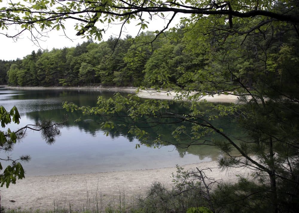 A view of Walden Pond in Concord, Mass. (Elise Amendola/AP)
