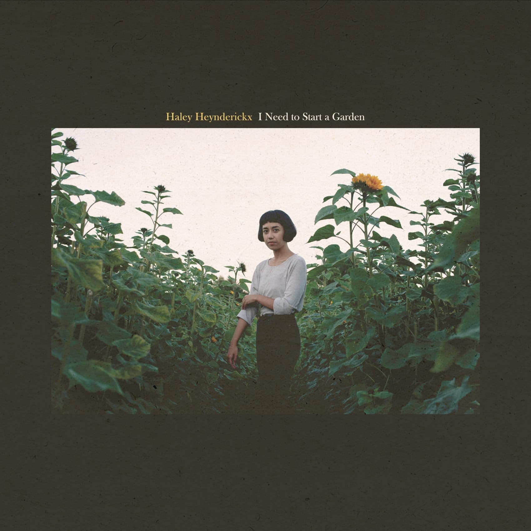 Album art for Haley Heynderickx's "I Need to Start a Garden." (Courtesy Mama Bird Recording Co.)