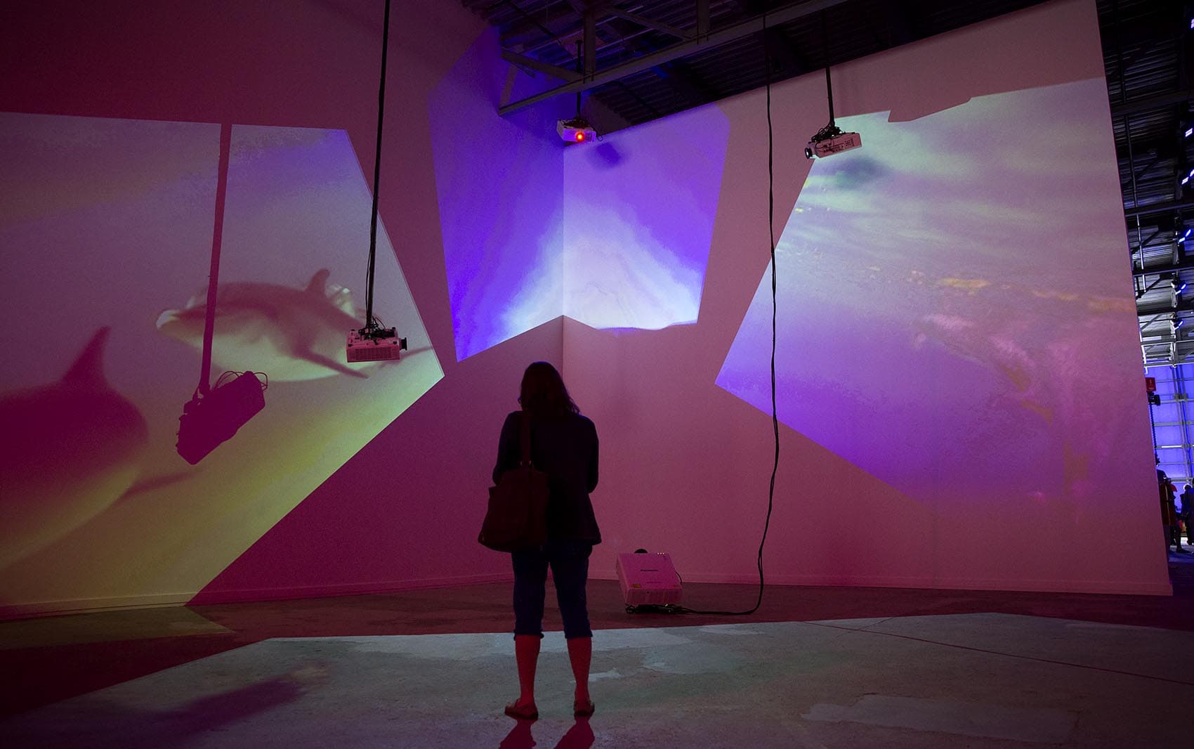 A visitor to the ICA Watershed watches "Delphine" by artist Diana Thater. (Robin Lubbock/WBUR)