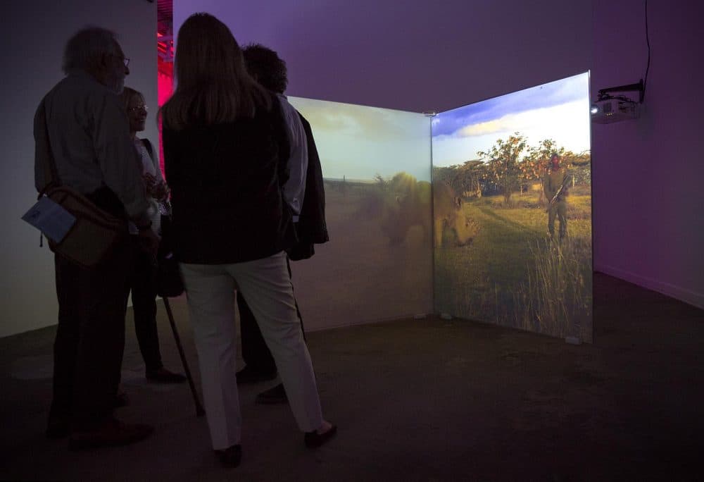 &quot;As Radical As Reality&quot; by artist Diana Thater at the ICA Watershed in East Boston. (Robin Lubbock/WBUR)