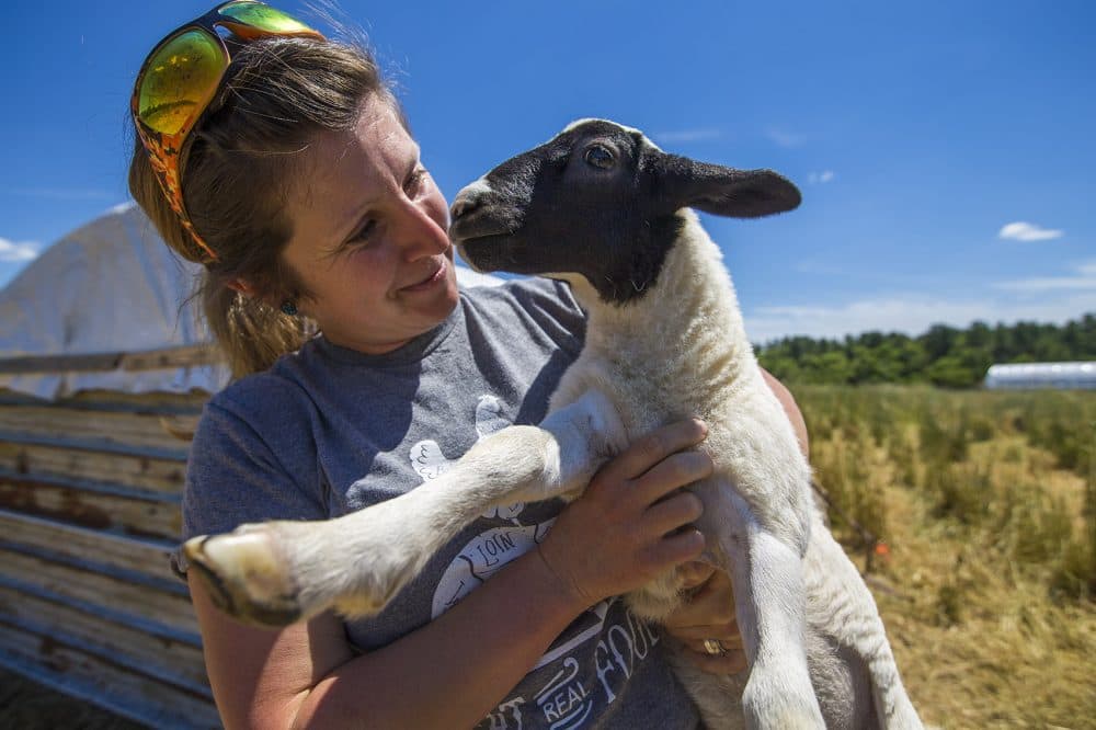Copicut Farms owner Elizabeth Frary holds Gwen, a lamb that is one of the latest editions to the farm. (Jesse Costa/WBUR)