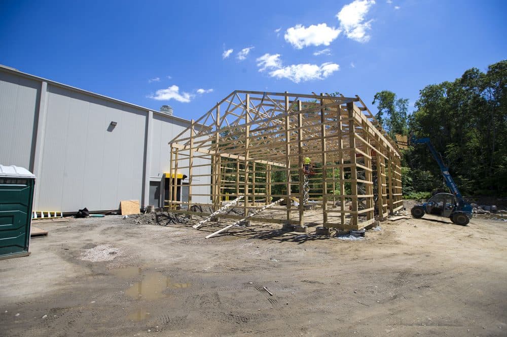 Meatworks in Westport remains under construction. Here contractors work on building the barn where all the animals being processed will enter. Meatworks hopes to handle 2,000 large animals in it's first year. (Jesse Costa/WBUR)