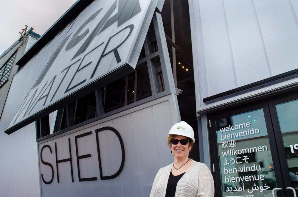 ICA Director Jill Medvedow stands in front of the museum's East Boston expansion while the first exhibit was being installed inside. (Elizabeth Gillis/WBUR)