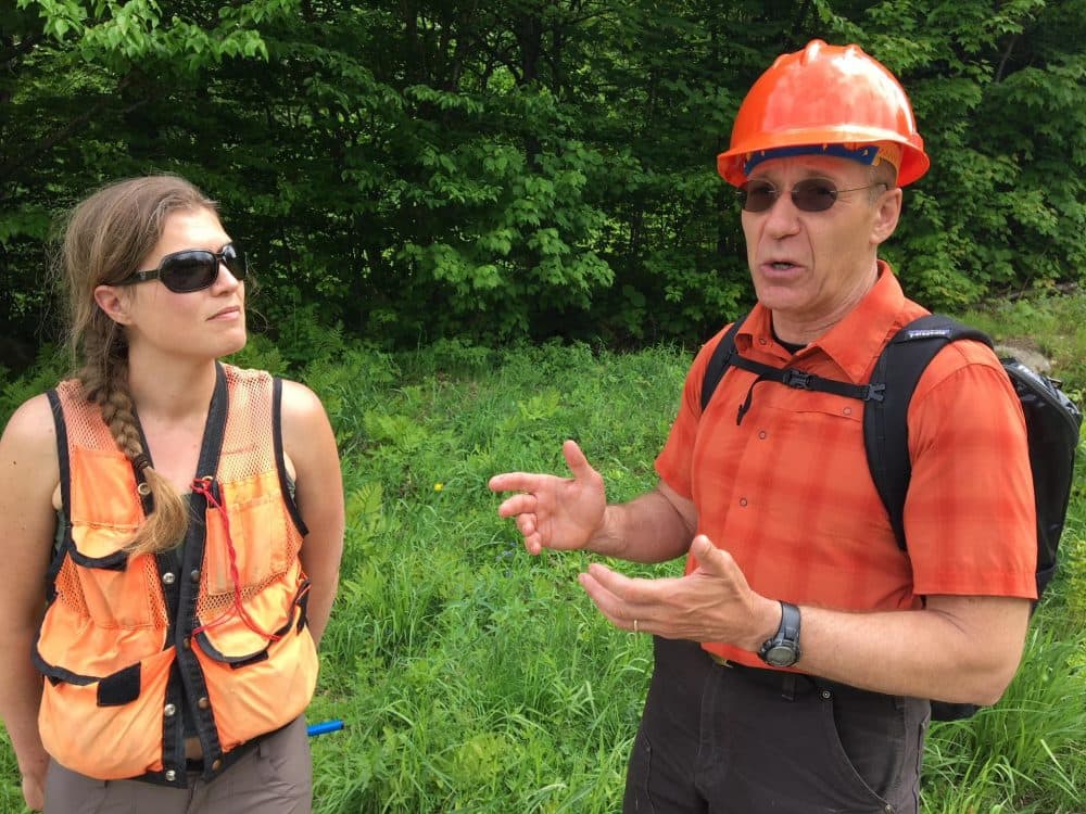 Alexandra Kosiba and Paul Schaberg teamed up to study red spruce recovery. (John Dillon/VPR)