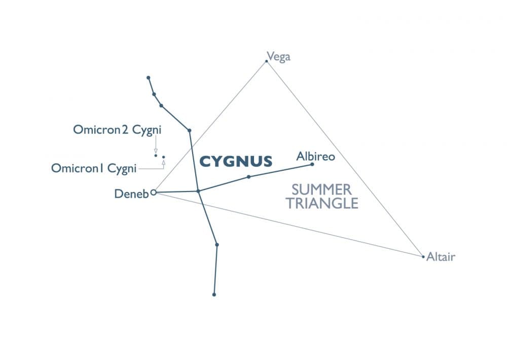 Cygnus, the Swan, is one of the easier constellations to picture in the sky. (Courtesy Simon &amp; Schuster)