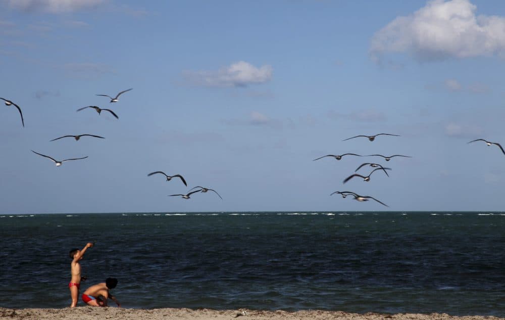 Children play along the shore at Crandon Park in Miami. (CX Matiash/AP)