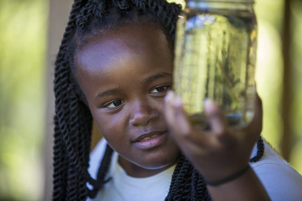 Camper Dorothea Phillips, 14, looks at a leech in a mason jar. (Jesse Costa/WBUR)