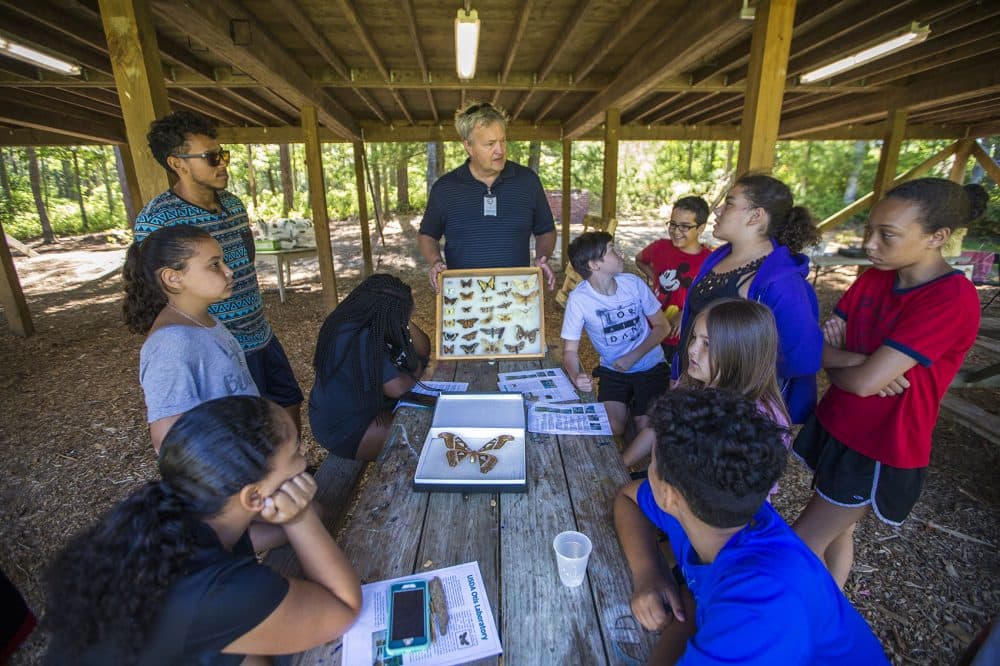 Ron Mack fields questions from campers of the Mashpee Wampanoag science camp while he presents cases filled with different types of butterflies. (Jesse Costa/WBUR)