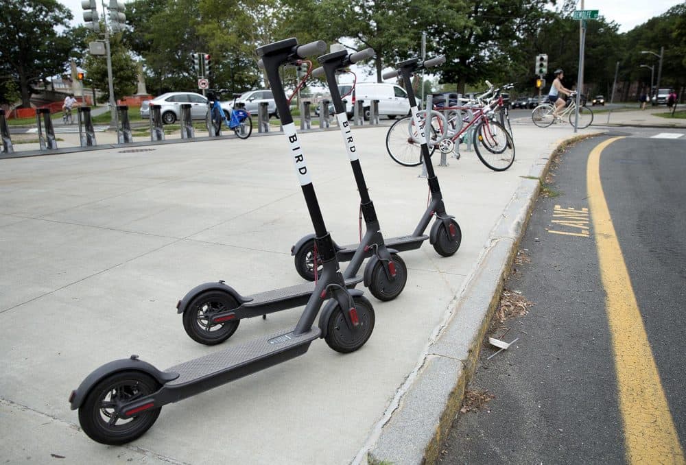 A &quot;nest&quot; of Bird scooters on Cowperthwaite Street in Cambridge (Robin Lubbock/WBUR)