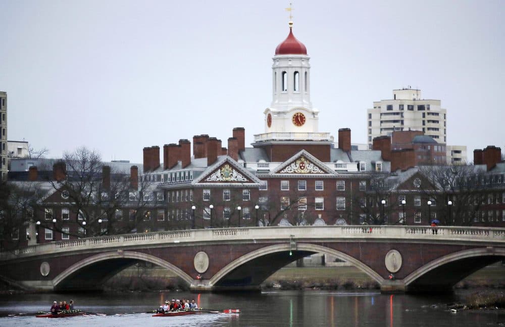 In this 2017 file photo, rowers paddle along the Charles River past the Harvard campus. (Charles Krupa/AP)