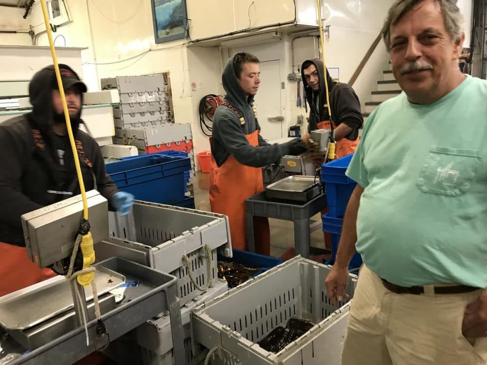 Michael Marceau, co-owner of The Lobster Co., at the Arundel packing and shipping plant. (Fred Bever/Maine Public Radio)