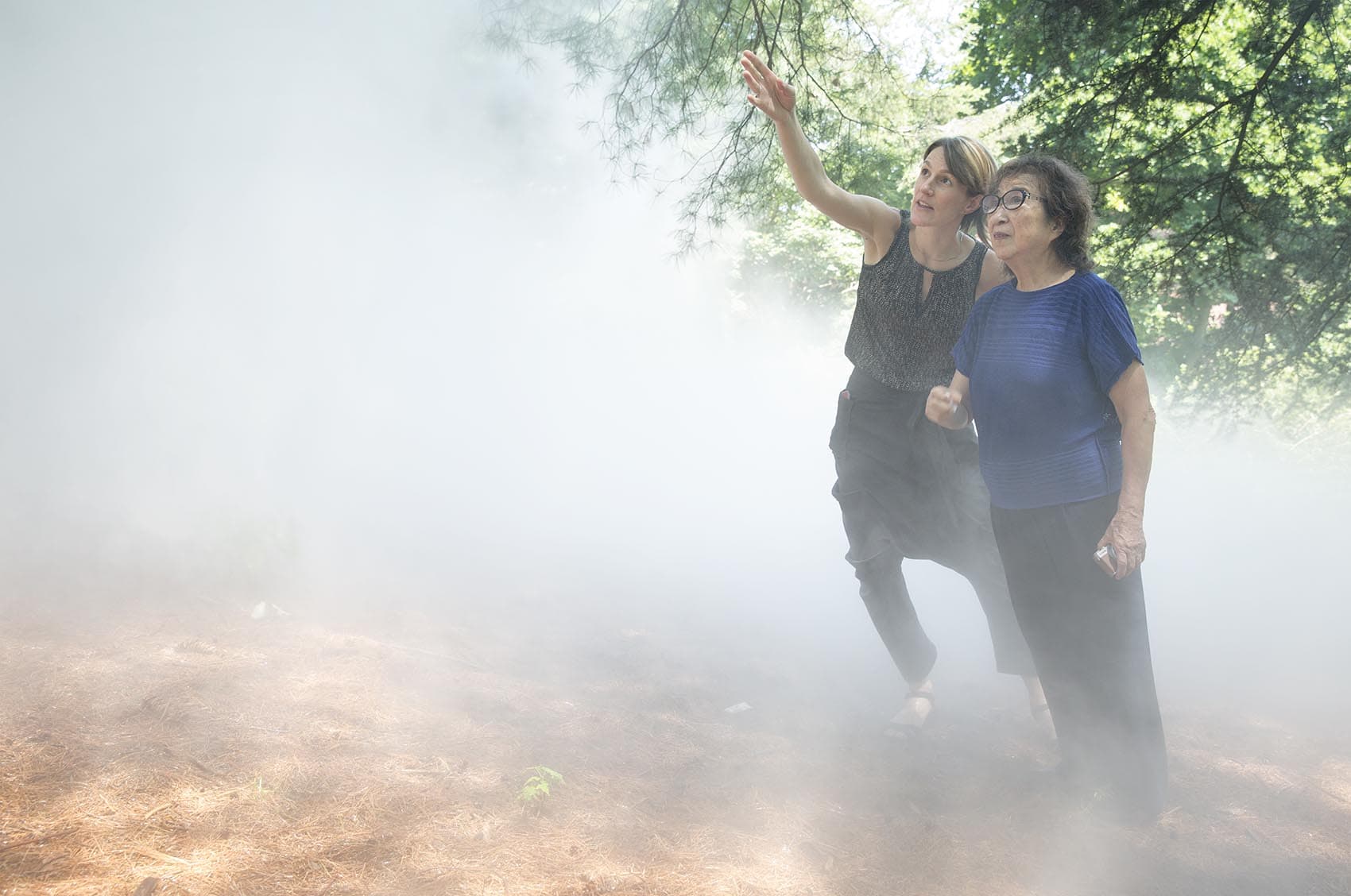 Contemporary art curator Jen Mergel and artist Fujiko Nakaya look up through the fog of the artist's installation at the Arnold Arboretum. (Robin Lubbock/WBUR)