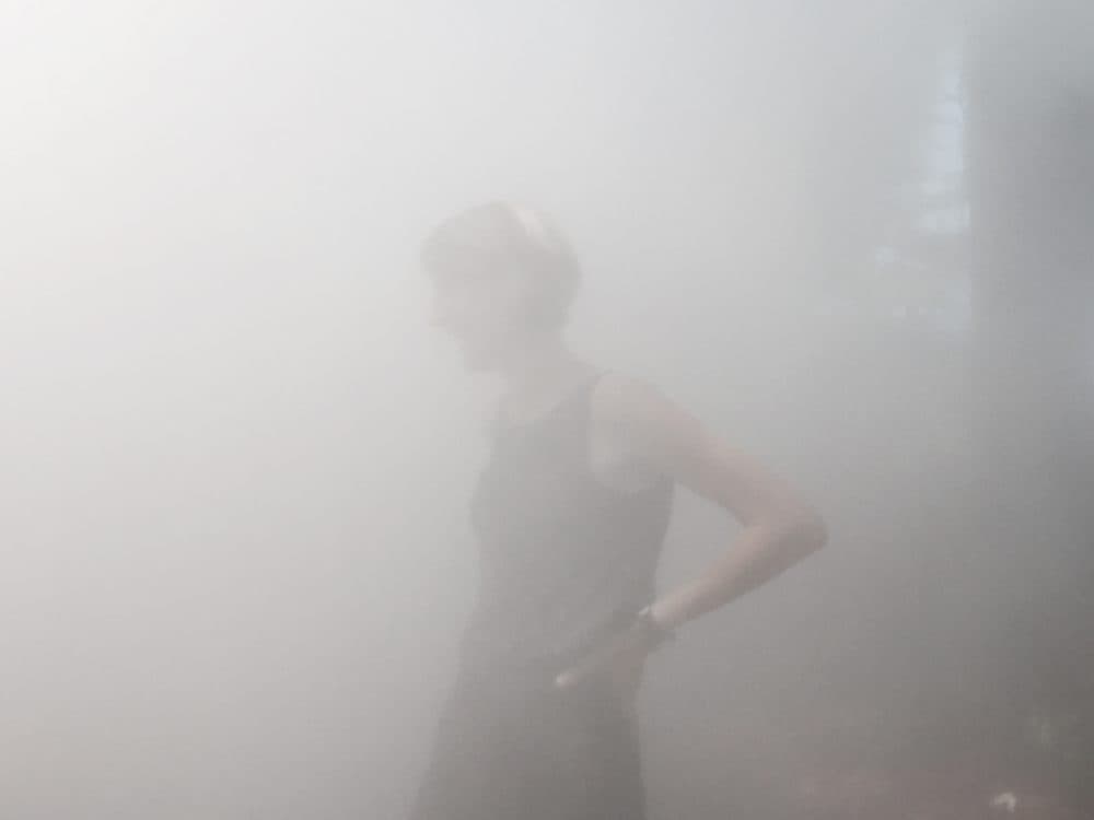 Curator Jen Mergel in the mist. (Andrea Shea/WBUR)