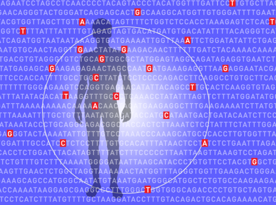 A New Genetic Test For Heart Attacks Could Help People Avoid Unpleasant Medical Surprises